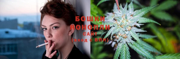 стаф Баксан