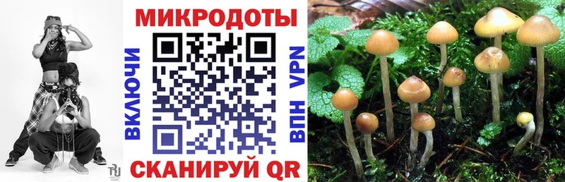 ОМГ ОМГ маркетплейс  Калининец  Галлюциногенные грибы MAGIC MUSHROOMS 